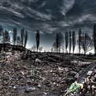 Auschwitz II (Birkenau)...