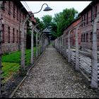 Auschwitz im Jahr 2010