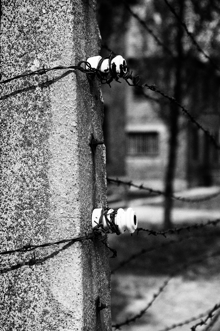 Auschwitz IV