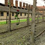 Auschwitz - The Residence of Death 1