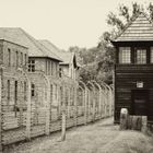 Auschwitz - The Residence of Death 3
