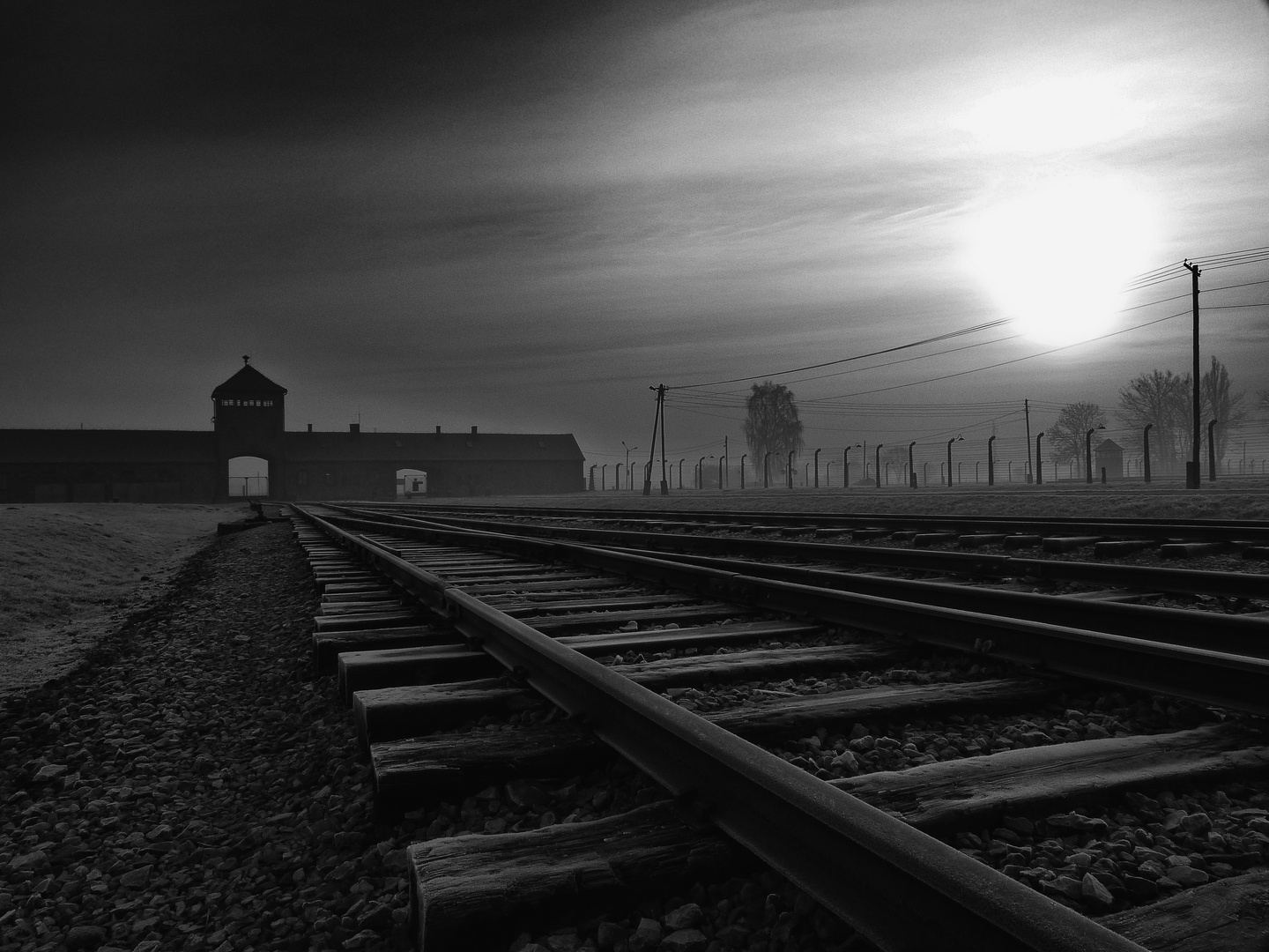 Auschwitz und Ich...