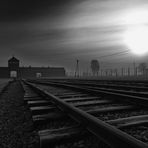 Auschwitz und Ich...