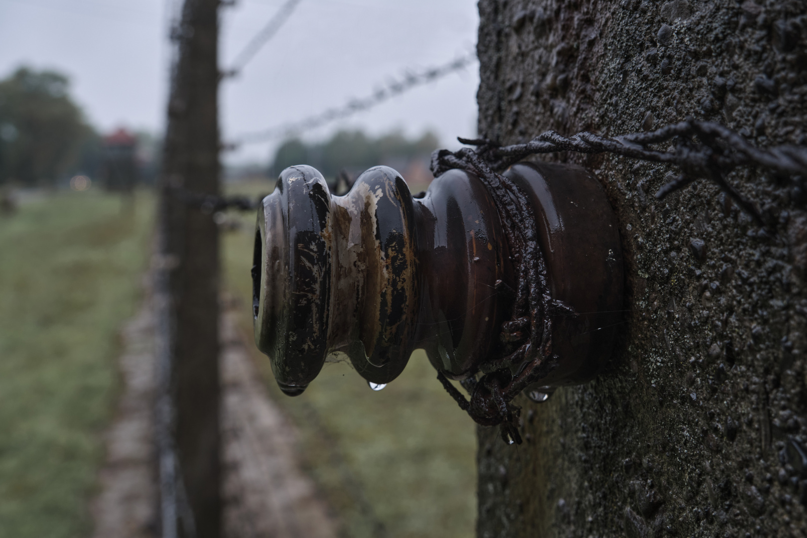 Auschwitz - unfassbar, unmenschlich, unauslöschlich