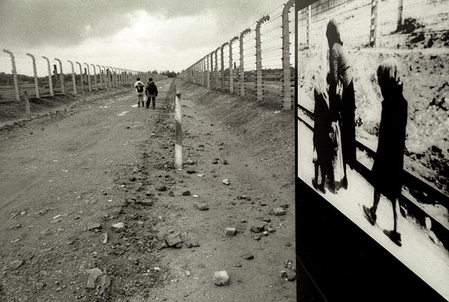Auschwitz VI
