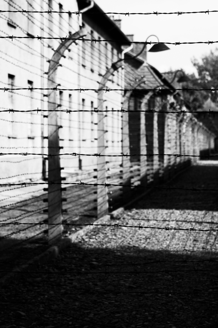 Auschwitz VII