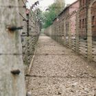 Auschwitz von außen...." NIE WIEDER" darf so etwas passieren