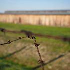 auschwitz_birkenau