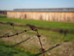 auschwitz_birkenau