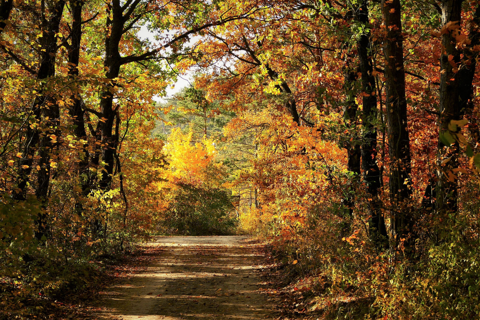 Aus(durch)blick auf den Herbst