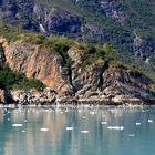 Ausfahrt aus der Glacier Bay