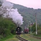 Ausfahrt Bahnhof Dolene BDZ