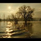 Ausfahrt Hafen Neu Darchau bei Hochwasser