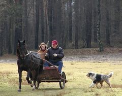 Ausfahrt im " Vorfrühling".........