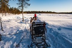 Ausfahrt mit dem Hundeschlitten.        .DSC_3143