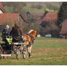 Ausfahrt nach Boltshausen