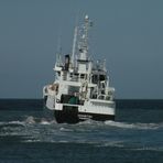 Ausfahrt zu den Fischgründen in der Nordsee .