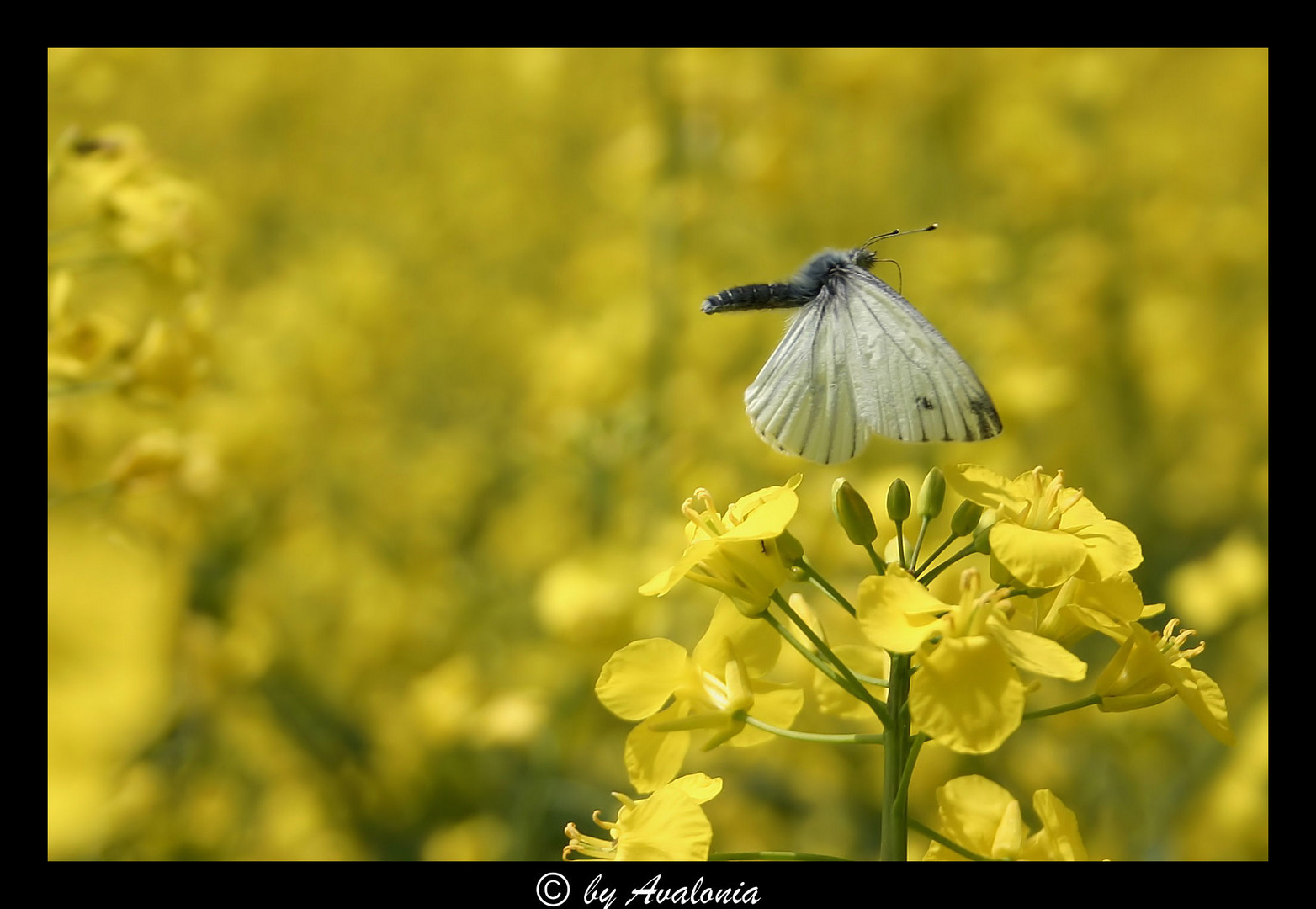 Ausflug