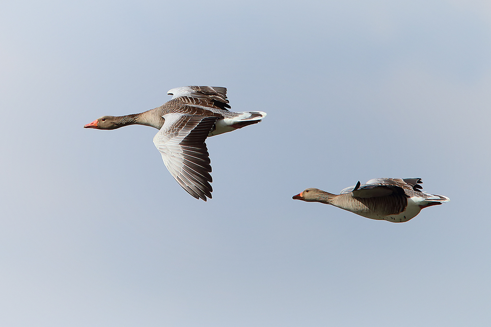 Ausflug