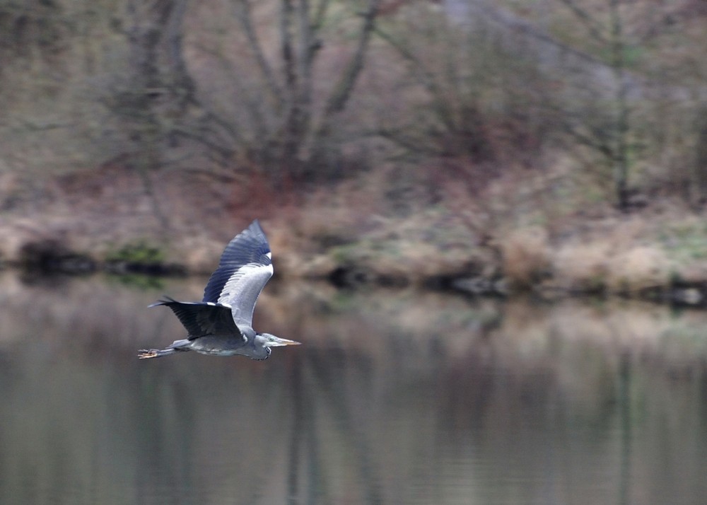 Ausflug