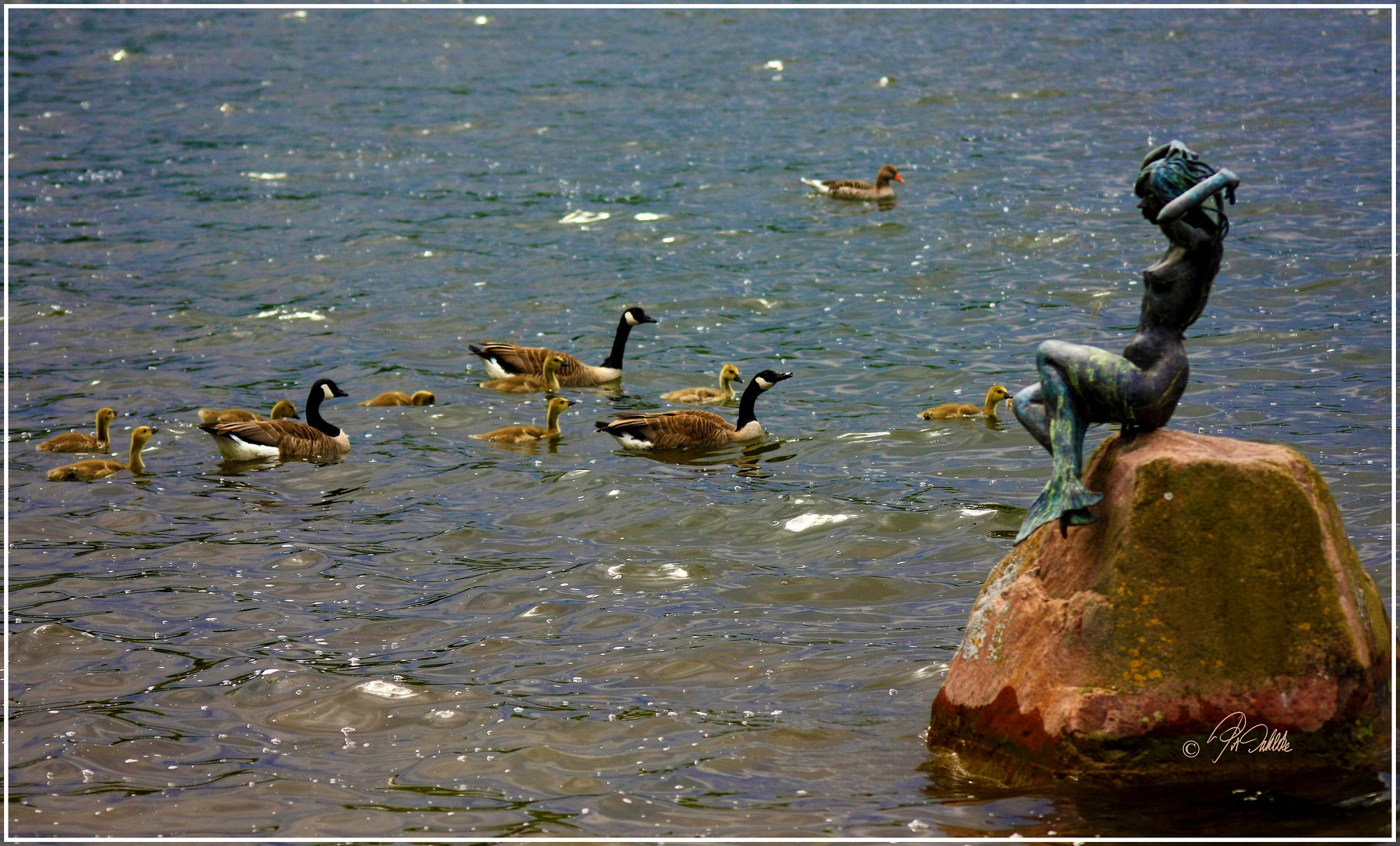 Ausflug am Kellersee