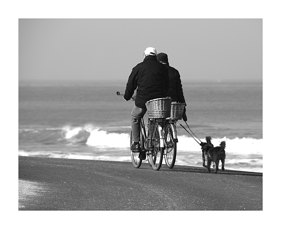 Ausflug am Meer