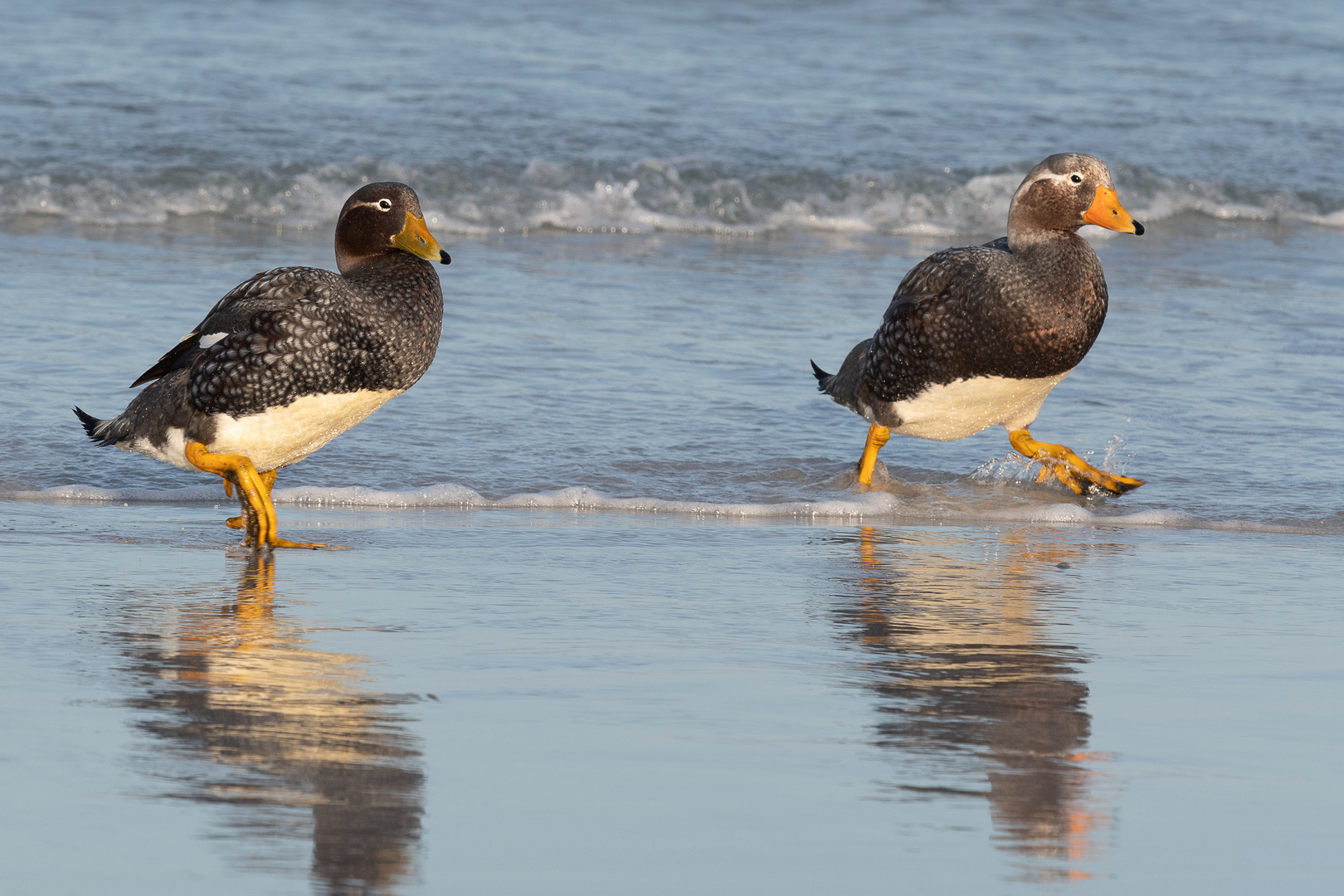 Ausflug am Meer