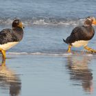 Ausflug am Meer