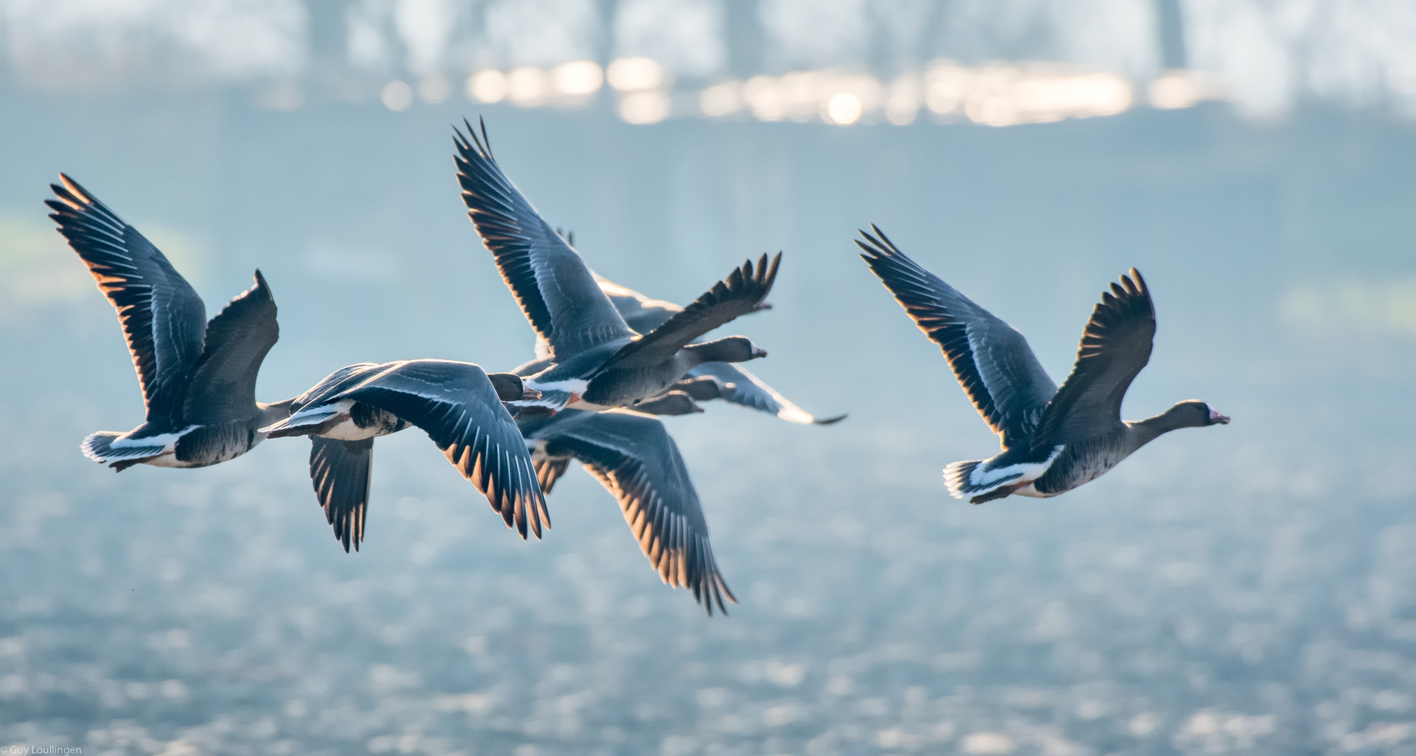 Ausflug am Morgen