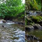 "Ausflug an den kleinen Uracher Wasserfall 13 von Pferdchen Fotografie"