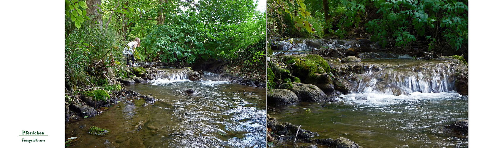 "Ausflug an den kleinen Uracher Wasserfall 13 von Pferdchen Fotografie"