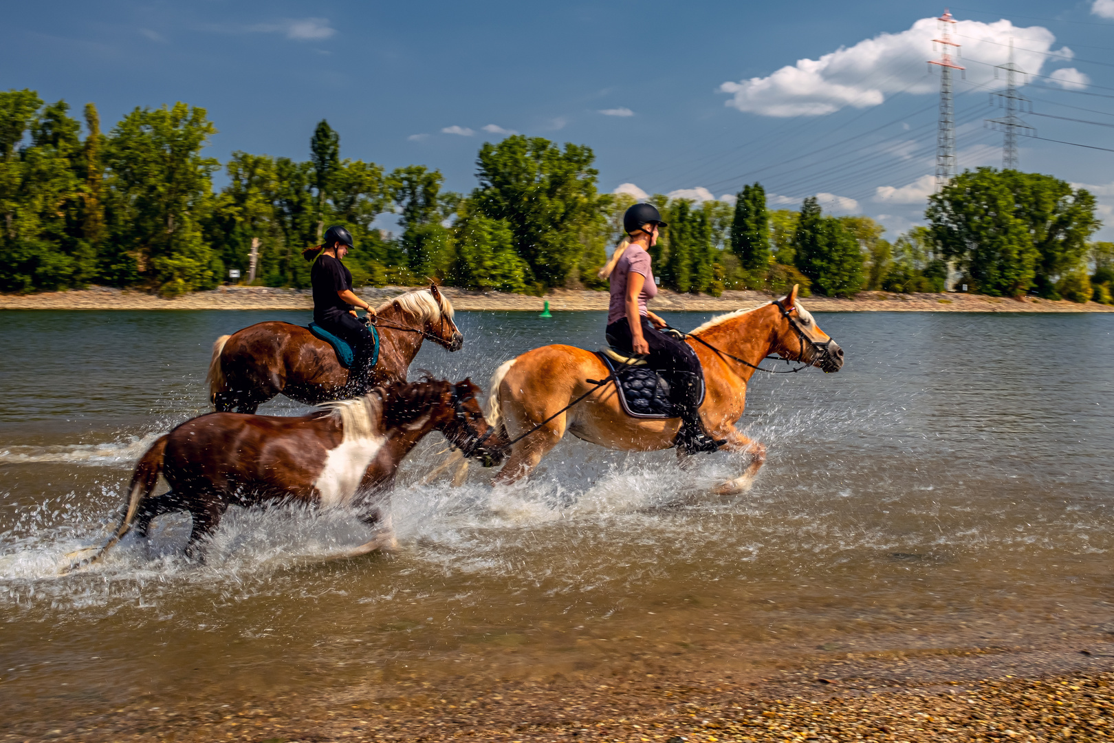 Ausflug an den Rhein bei Worms