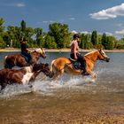 Ausflug an den Rhein bei Worms