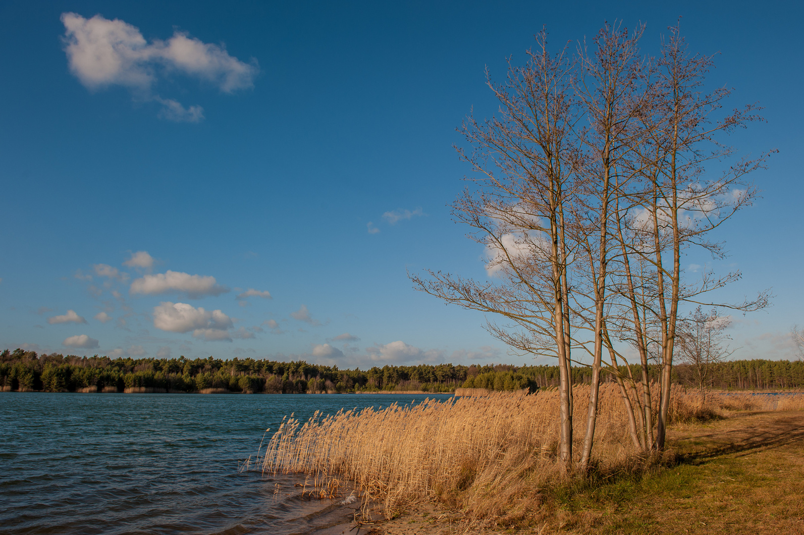 Ausflug an den See