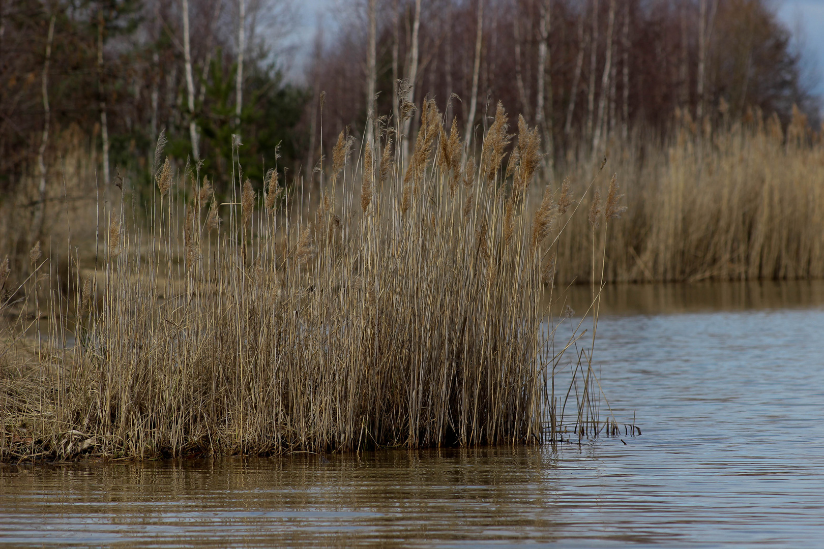 Ausflug an den See