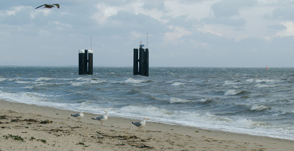 Ausflug an den Strand