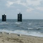 Ausflug an den Strand