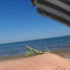 Ausflug an den Strand