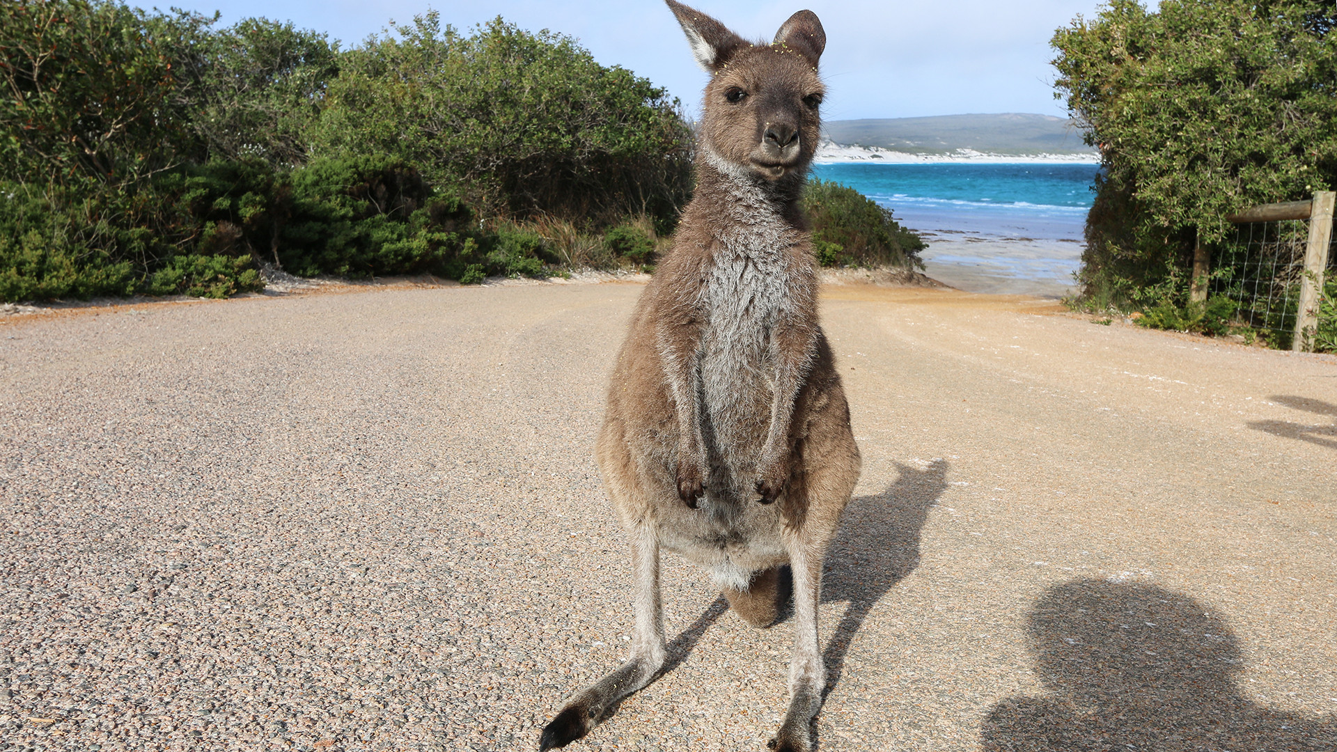 Ausflug an den Strand