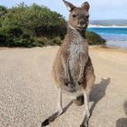 Ausflug an den Strand