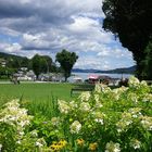 Ausflug an den Wörthersee