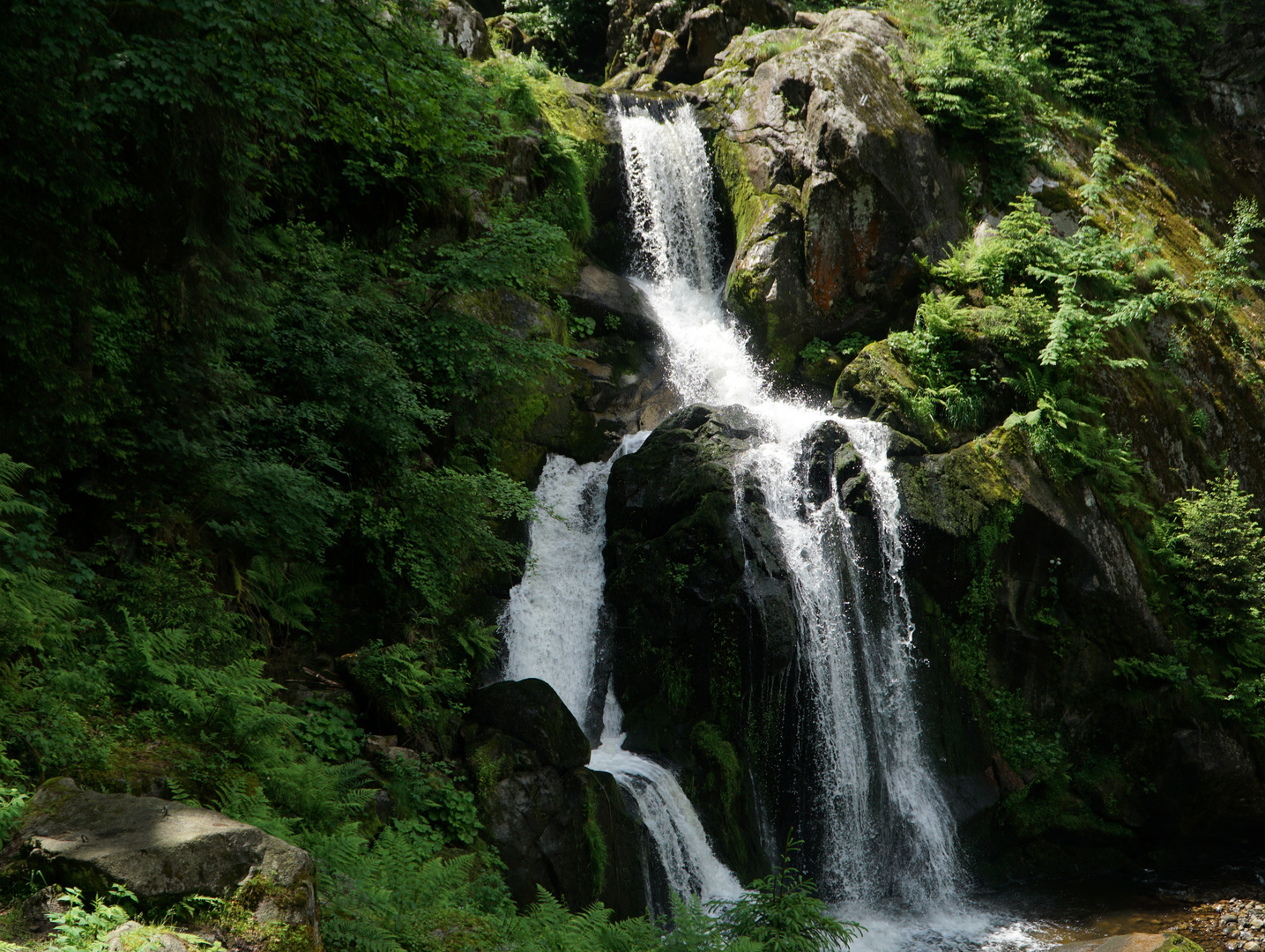 Ausflug an die Triberger Wasserfälle