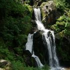 Ausflug an die Triberger Wasserfälle