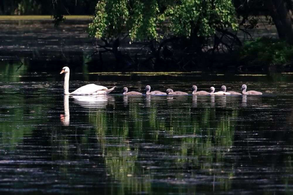 Ausflug auf dem See