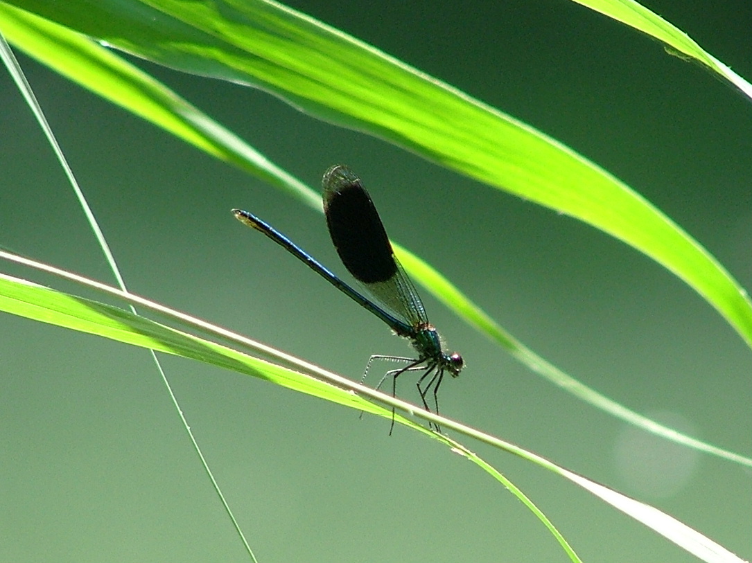 Ausflug auf dem Taubergiessen