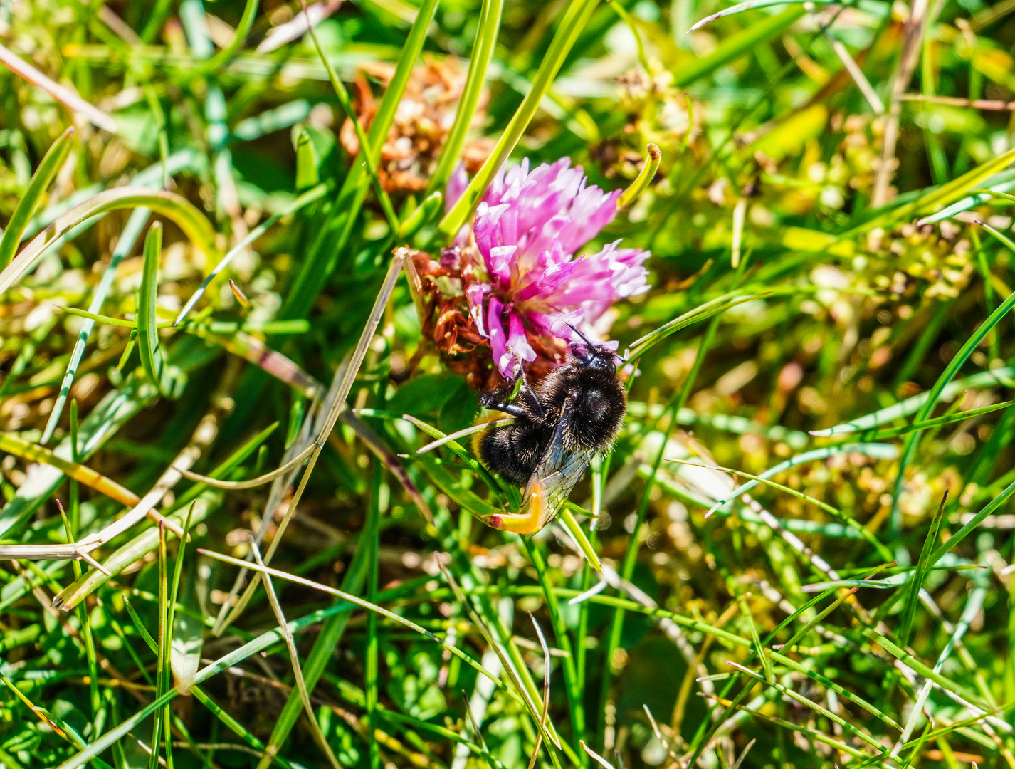 Ausflug auf den Chasseral