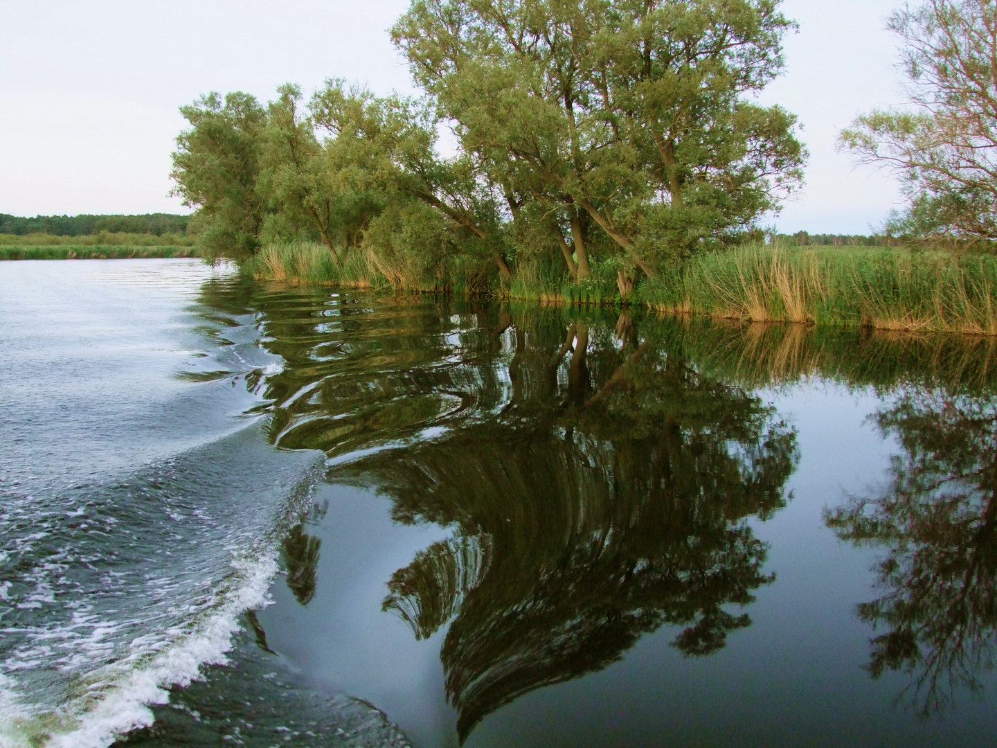 Ausflug auf der Peene