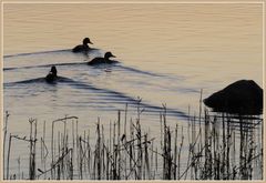 Ausflug bei Sonnenaufgang