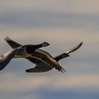 Ausflug bei Sonnenschein