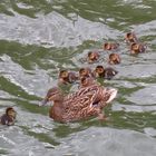 Ausflug der Großfamilie